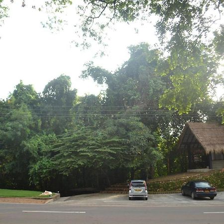 Ella Jungle Inn Kahatamaditta Buitenkant foto