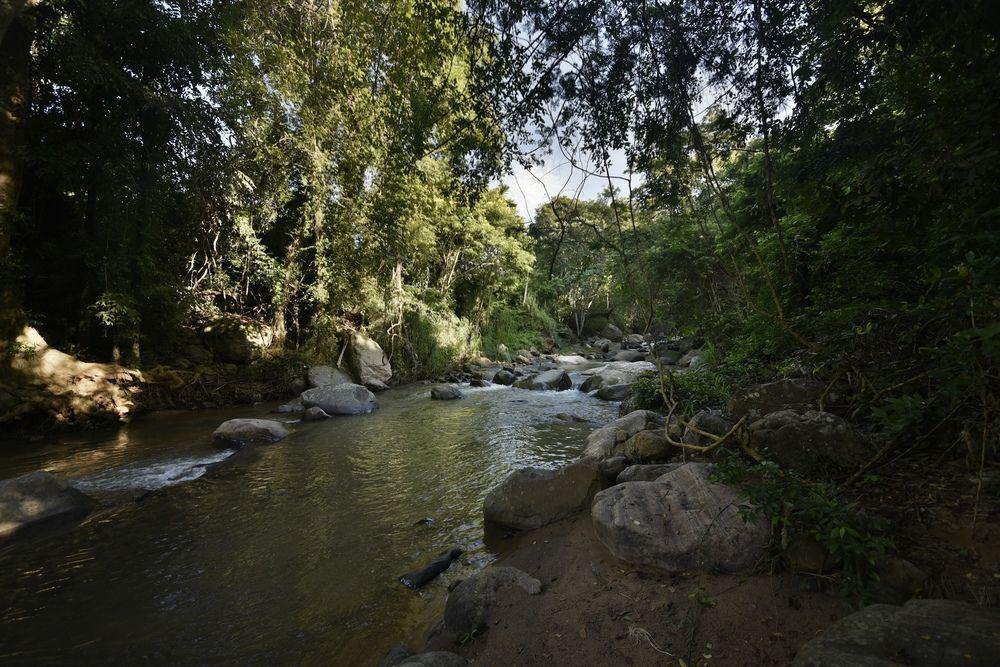 Ella Jungle Inn Kahatamaditta Buitenkant foto